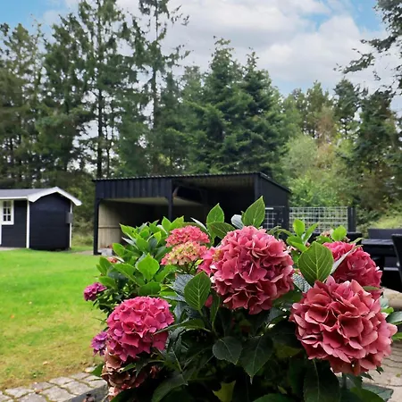 5 Person In Tatil Evi